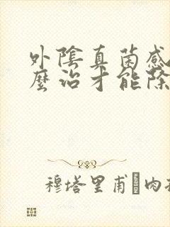 外阴真菌感染怎么治才能除根