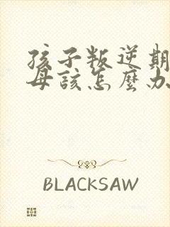 孩子叛逆期打父母该怎么办封面