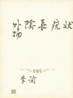 外阴长疣状赘生物