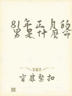 81年正月的鸡男是什么命