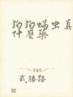 狗狗螨虫真菌用什么药