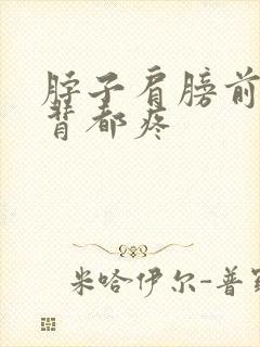 脖子肩膀前胸后背都疼