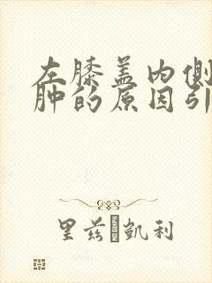 左膝盖内侧疼痛肿的原因引起的