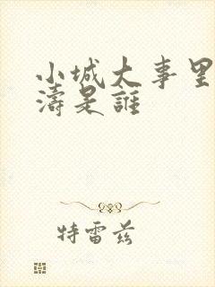 小城大事里的杜涛是谁封面