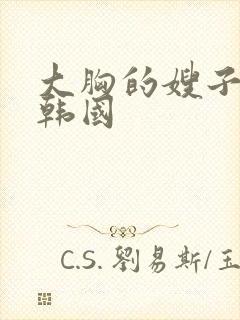 大胸的嫂子电影韩国