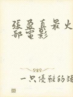 张盈真最火的三部电影