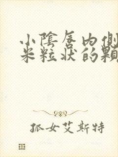 小阴唇内侧长了米粒状的颗粒很痒