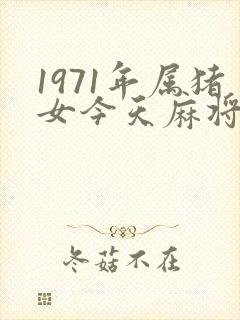 1971年属猪女今天麻将运气如何