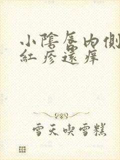 小阴唇内侧起小红疹还痒