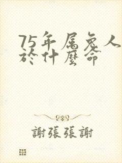 75年属兔人属于什么命