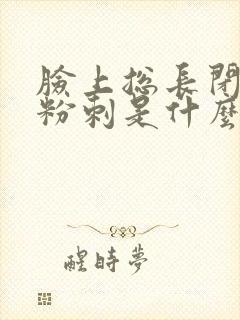 脸上总长闭口和粉刺是什么原因