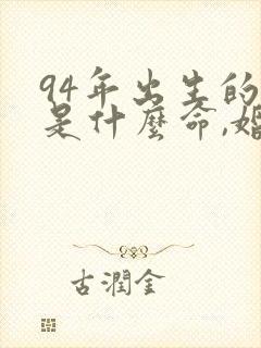 94年出生的狗是什么命,婚姻怎样