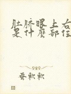 肚脐眼上右边疼是什么部位