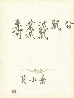 专业灭鼠公司如何灭鼠