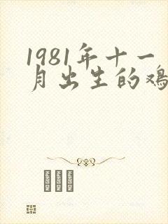 1981年十一月出生的鸡女命运