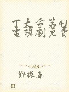 丁大命第41集电视剧免费播放