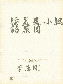 膝盖及小腿发凉的原因封面