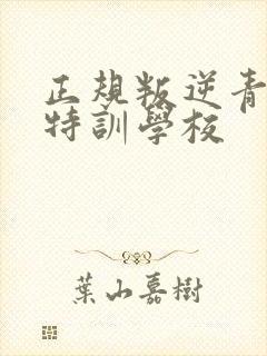 正规叛逆青少年特训学校封面