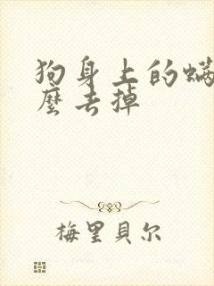 狗身上的螨虫怎么去掉