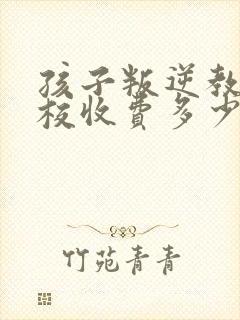 孩子叛逆教育学校收费多少