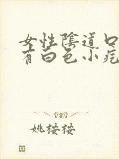 女性阴道口内外有白色小疙瘩什么原因