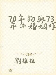 70年狗与73年牛婚姻咋样