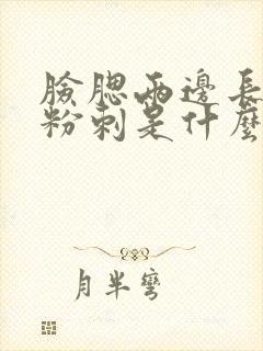 脸腮两边长闭口粉刺是什么原因封面