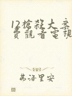 12枪杀大案免费观看电视剧封面