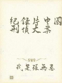 纪录片中国西部刑侦大案