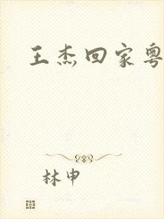 王杰回家粤语版