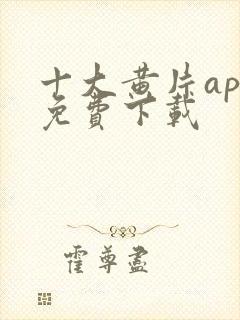 十大黄片app免费下载