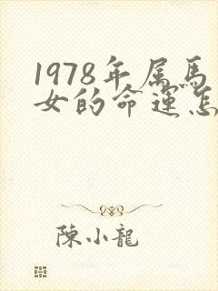 1978年属马女的命运怎么样