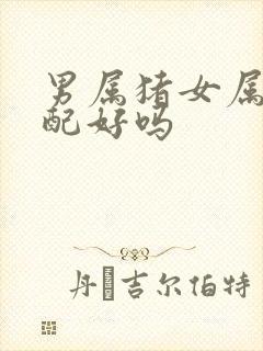 男属猪女属龙婚配好吗