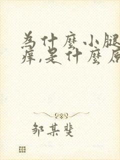 为什么小腿会很痒,是什么原因