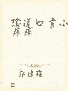 阴道口有小疙瘩疼痒封面