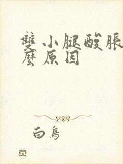 双小腿酸胀是什么原因