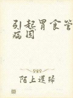 引起胃食管反流病因