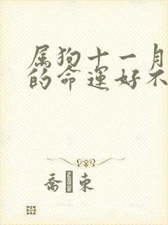 属狗十一月出生的命运好不好