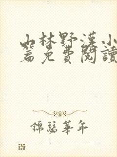 山林野汉小说全篇免费阅读封面