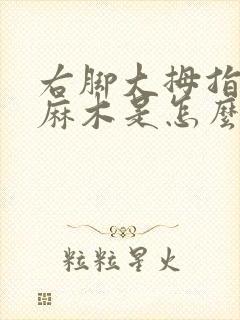 右脚大拇指指肚麻木是怎么回事