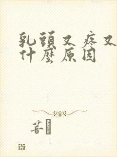 乳头又疼又痒是什么原因