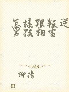 怎样跟叛逆期的男孩相处封面