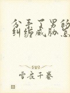 分手了男的一直纠缠威胁怎么办封面