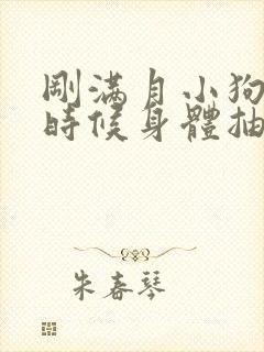 刚满月小狗睡觉时候身体抽搐抖动封面