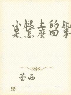 小腿上的肌肉疼是怎么回事封面