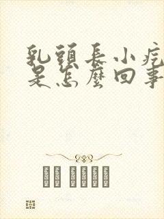 乳头长小疙瘩疼是怎么回事