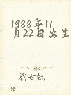 1988年11月22日出生的女孩子的命运封面