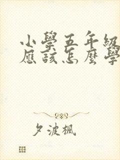 小学五年级孩子应该怎么学