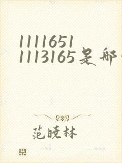 11116511113165是哪首歌的简谱