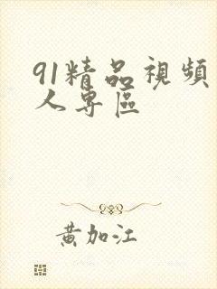 91精品视频成人专区